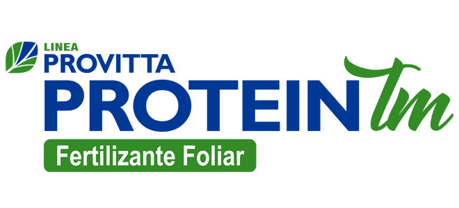 Protein TM